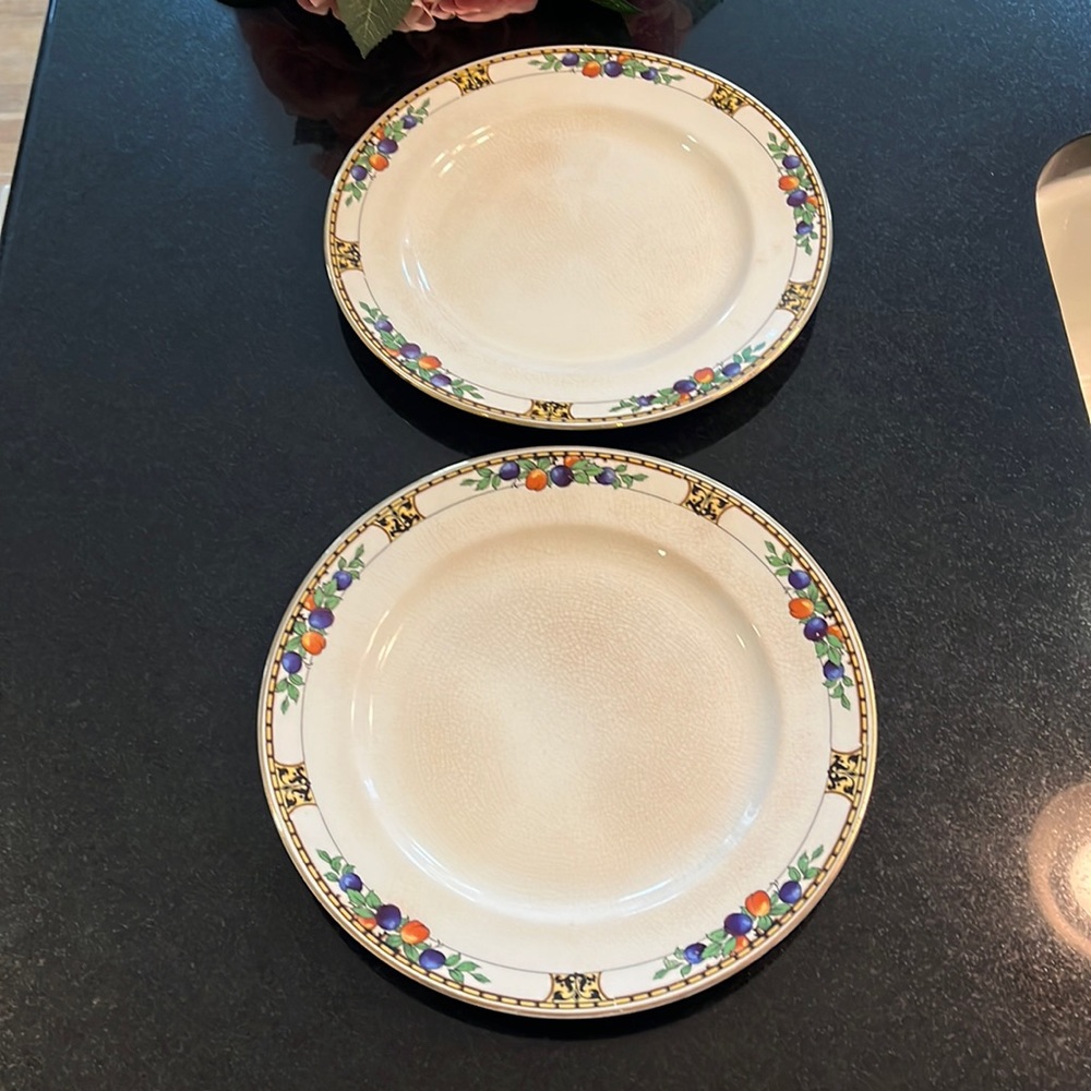 9.5"  Dinner Plates - by MADDOCK, JOHN & SONS - Pattern by Manchester-Set of 2